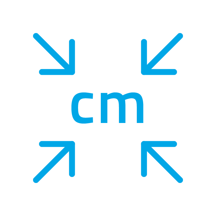 An icon symbolizing localization technology.